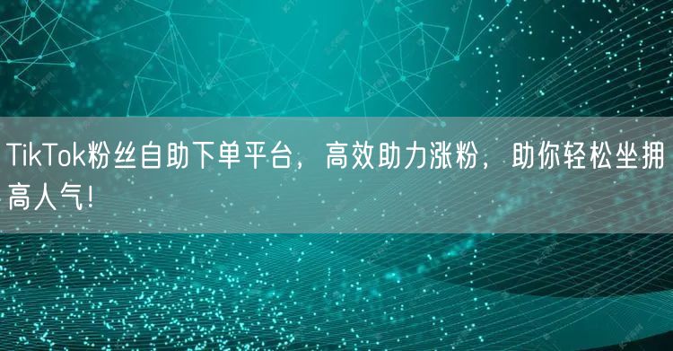 TikTok粉丝自助下单平台，高效助力涨粉，助你轻松坐拥高人气！