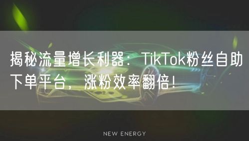揭秘流量增长利器：TikTok粉丝自助下单平台，涨粉效率翻倍！