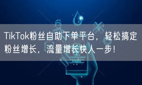 TikTok粉丝自助下单平台，轻松搞定粉丝增长，流量增长快人一步！