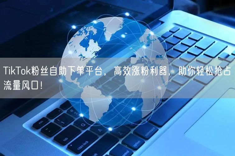 TikTok粉丝自助下单平台，高效涨粉利器，助你轻松抢占流量风口！