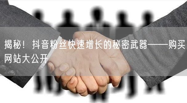 揭秘！抖音粉丝快速增长的秘密武器——购买网站大公开